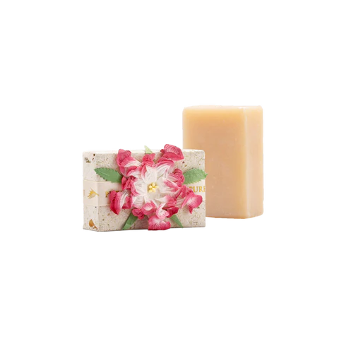 Pure Fiji Soap Dragonfruit